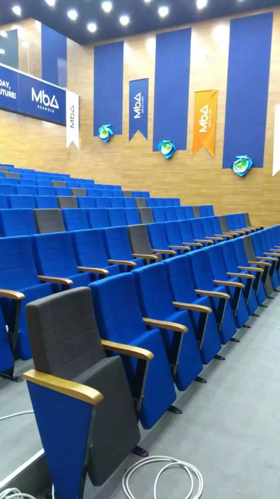 Auditorium Seating Options